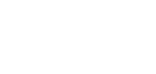 LinkNet Fibra